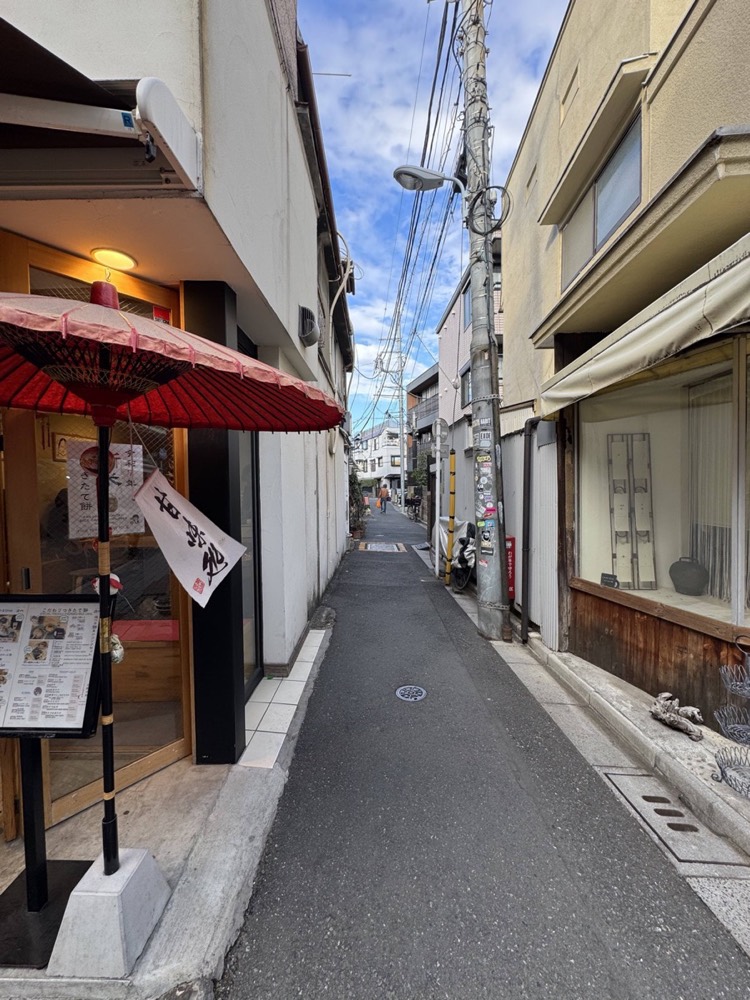 Japanese alley
